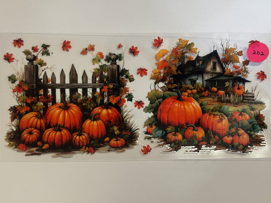 202 Fall Pumpkins