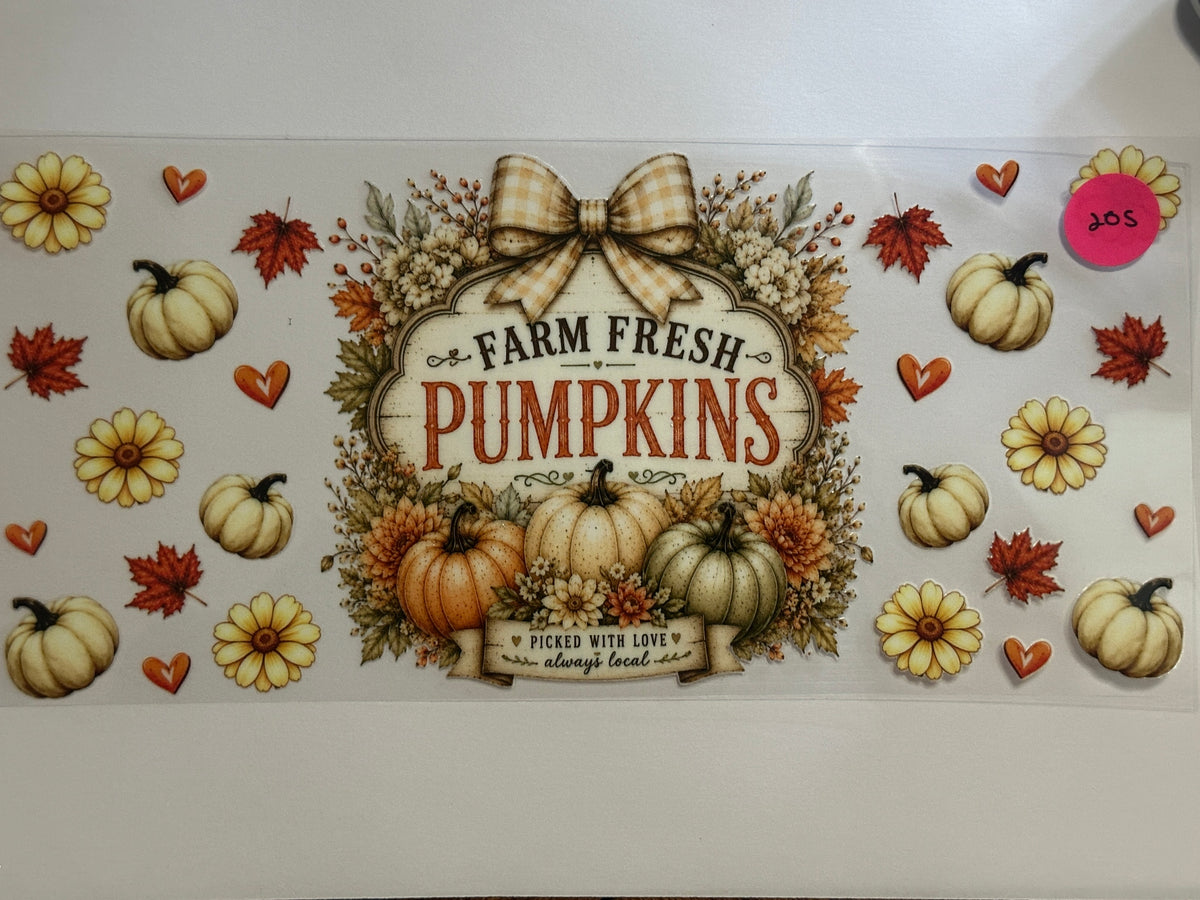 205 Farm Fresh Pumpkins