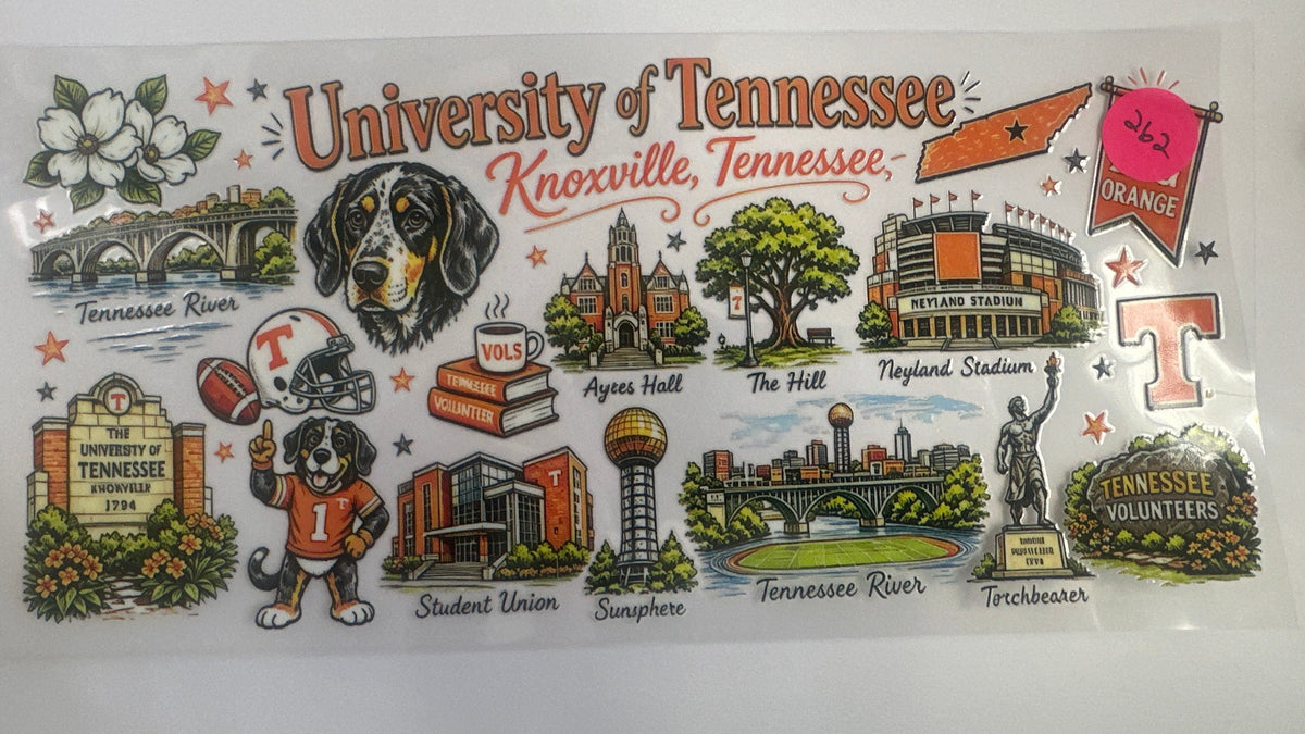 262 University of TN