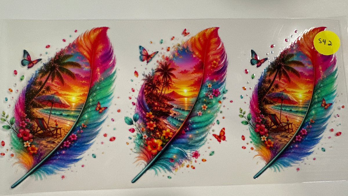 542 Feathers